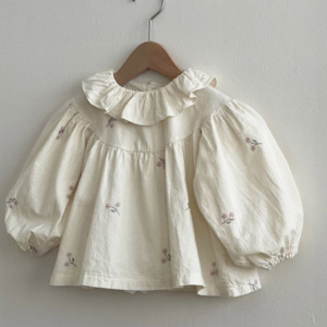 Embroidered ruffle collar blouse