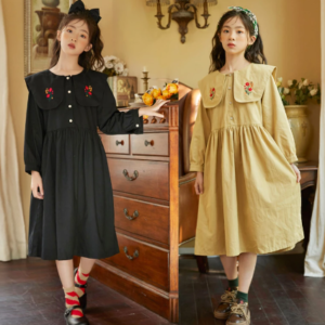 Embroidered collar dress