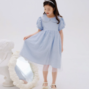 Gingham collar dress