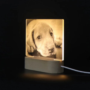 Custom photo lamp