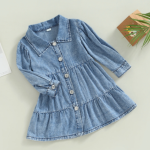 Denim shirtdress