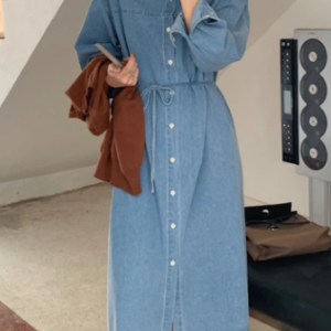 Denim shirtdress