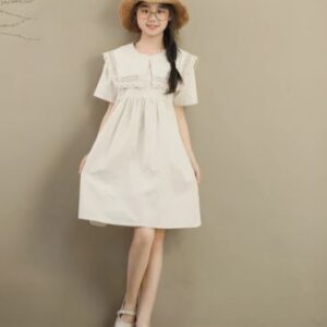Lace collar dress