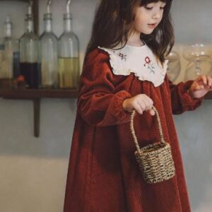 Embroidered collar dress