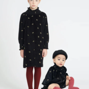 Velvet embroidered dress/romper