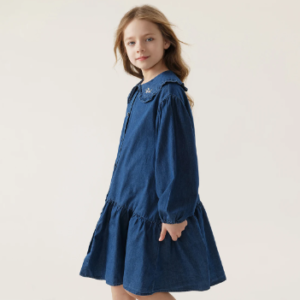 Denim embroidered collar dress