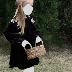 Velvet embroidered collar dress