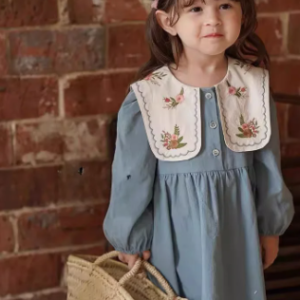 Embroidered collar dress