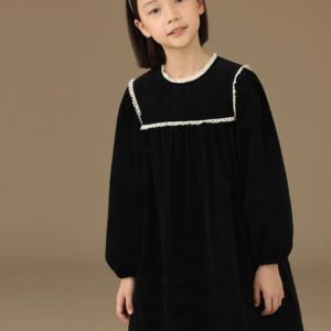 Velvet bib collar dress