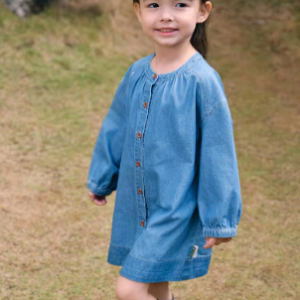 Denim button down dress