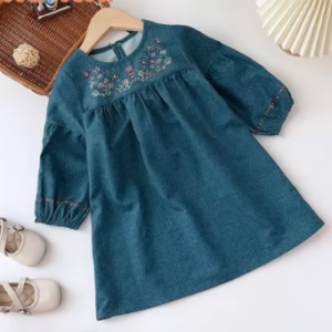 Embroidered denim dress
