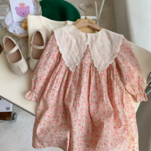 Lace collar floral dress