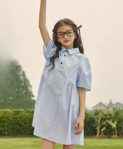 Structured shirt dress